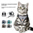 Breathable mesh pet harness and lead set, main product photo