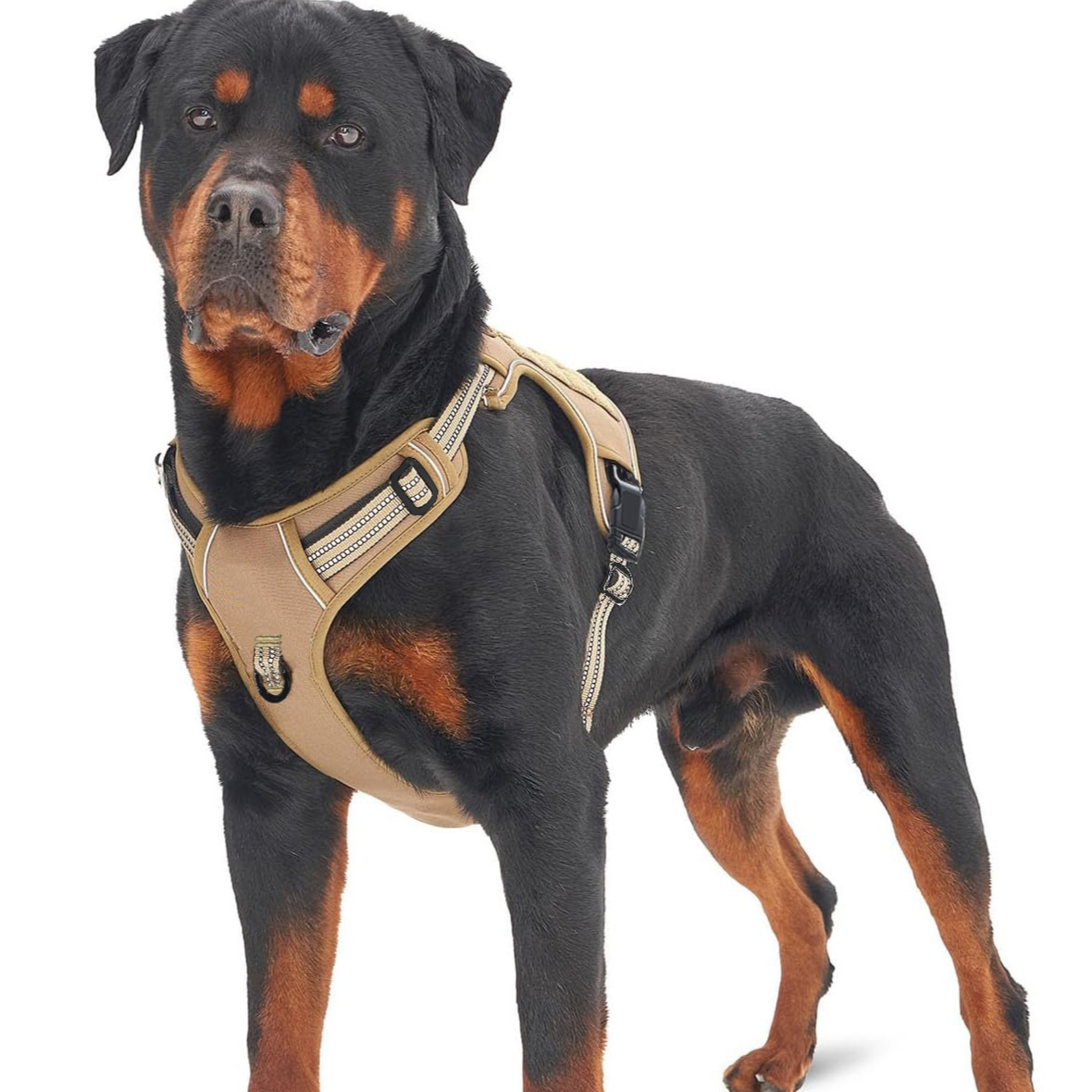 Reflective tactical mesh vest harness for dogs in 4 colour options