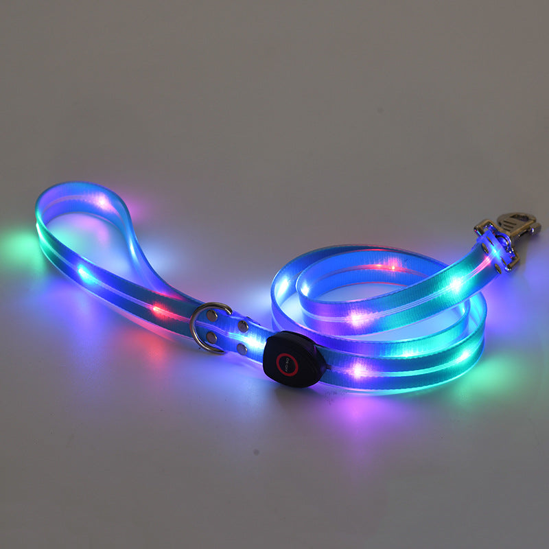 USB rechargeable LED dog collar and lead, in use with a pet