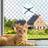Black pet netting fitted across a balcony railing