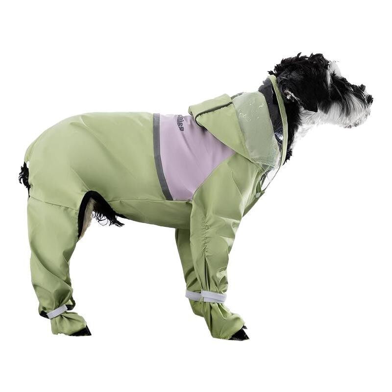 Small dog in a yellow pineapple full body raincoat