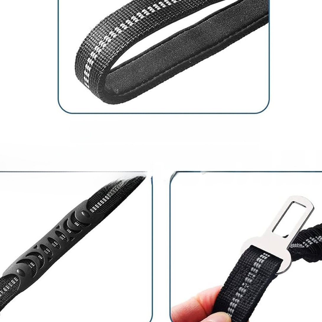 Elastic bungee dog lead, ideal for everyday use