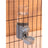 Hanging Pet Feeder and Water Dispenser Set, 500g Food and 500ml Water, Cage Mount