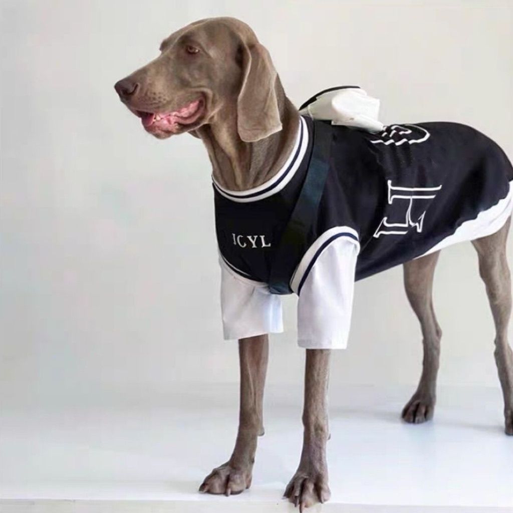 Black two piece look summer outfit for large dogs, in Black, image 3