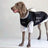 Black two piece look summer outfit for large dogs, in Black, image 3