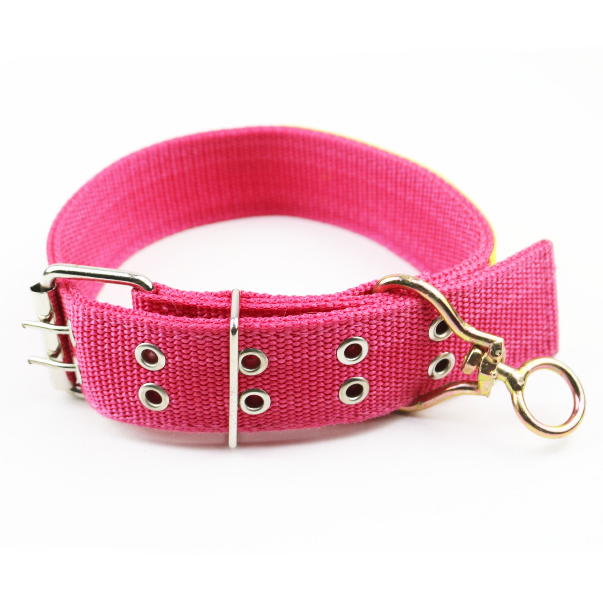 Wide canvas dog collar with rotating ring, close-up detail view