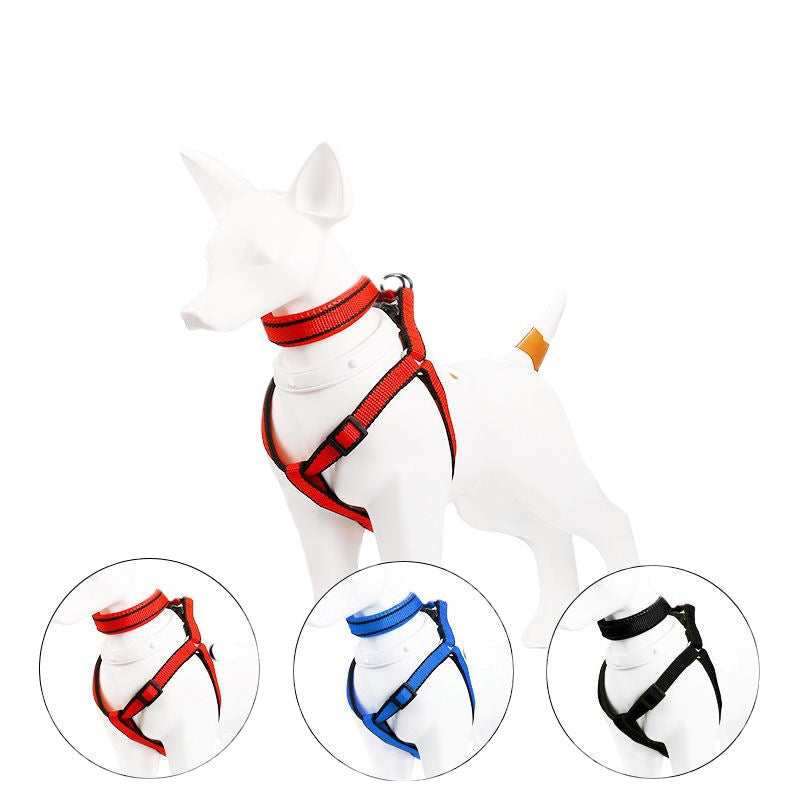 Reflective dog lead and collar set in Black 2-Piece Set, showing size and shape