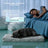 Cool grey cooling gel dog bed with waterproof cover, photo 2