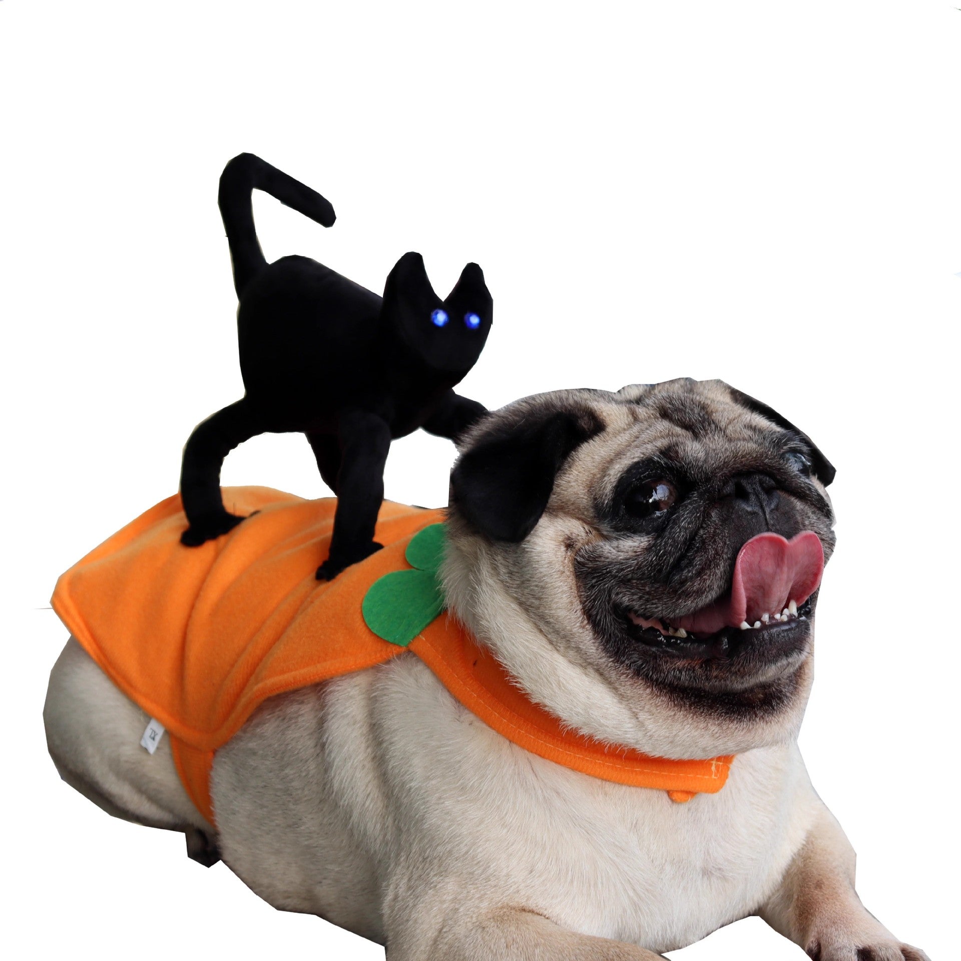 Selection of funny Halloween and Christmas costumes for pets