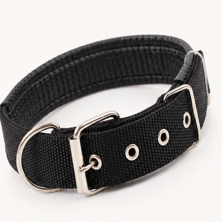 Padded nylon dog collar with foam lining, 5 sizes available