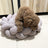 Hand-woven cotton rope pet bed in lemon yellow