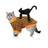Halloween pet costumes in black cat and orange stripes