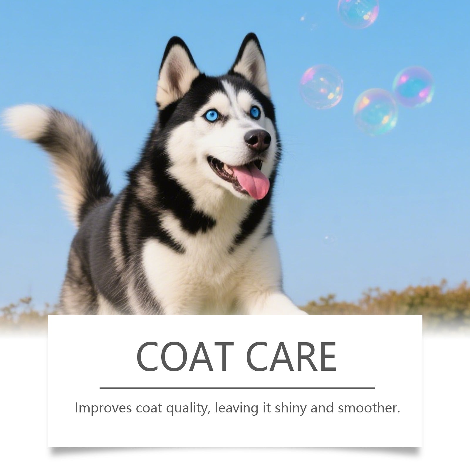 Dog Coat Care Collagen Solution for Healthy Skin and Fur