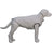 Waterproof fleece lined dog vest with snap buttons, product image 52