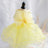 Small dog in a pink layered tutu princess dress
