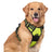 Reflective padded Oxford dog harness vest, product image 24
