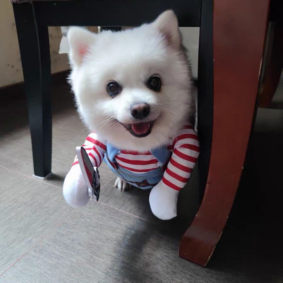 Halloween Pet Costume Dog Cat Funny Outfit