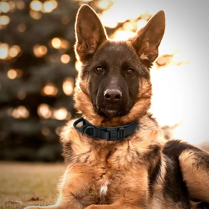 Tactical nylon dog collar with handle and reflective trim in black