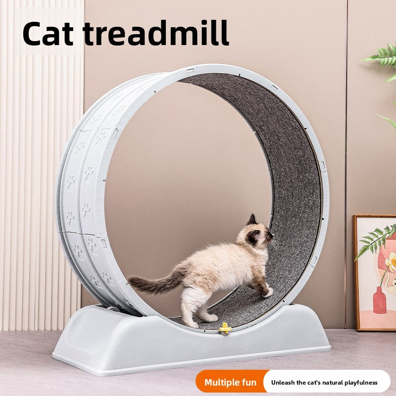 Quiet cat exercise wheel with a soft carpet track