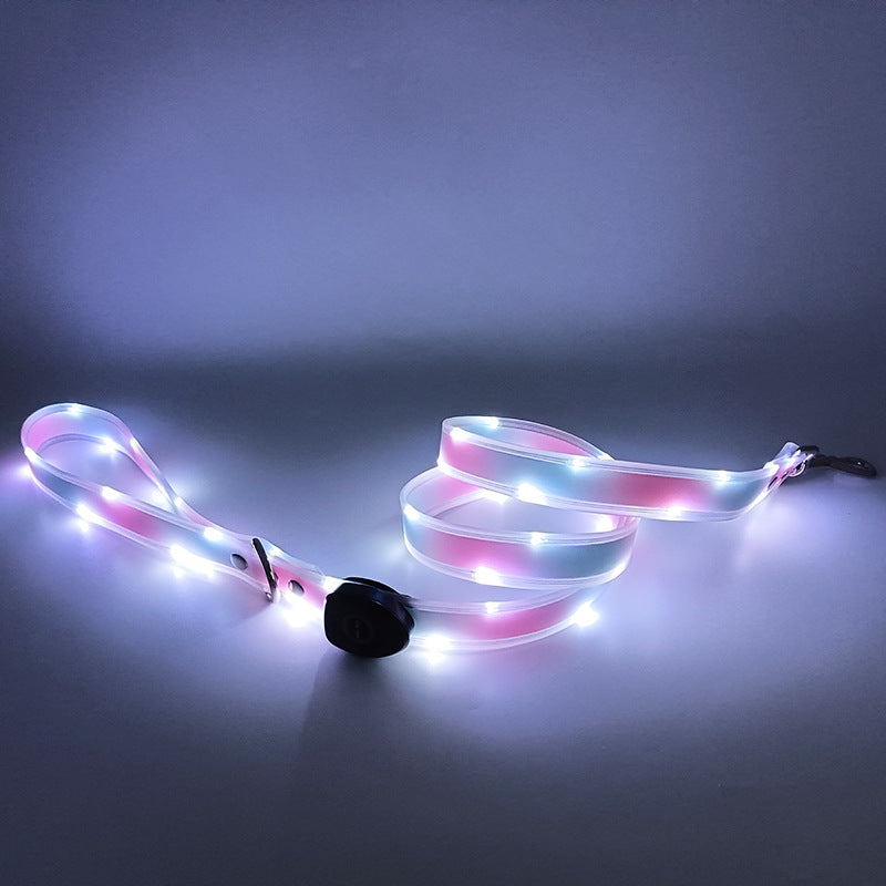 USB rechargeable LED dog collar and lead in Green Purple Lead, front view
