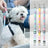 Gradient elastic dog car seat belt, close-up detail view