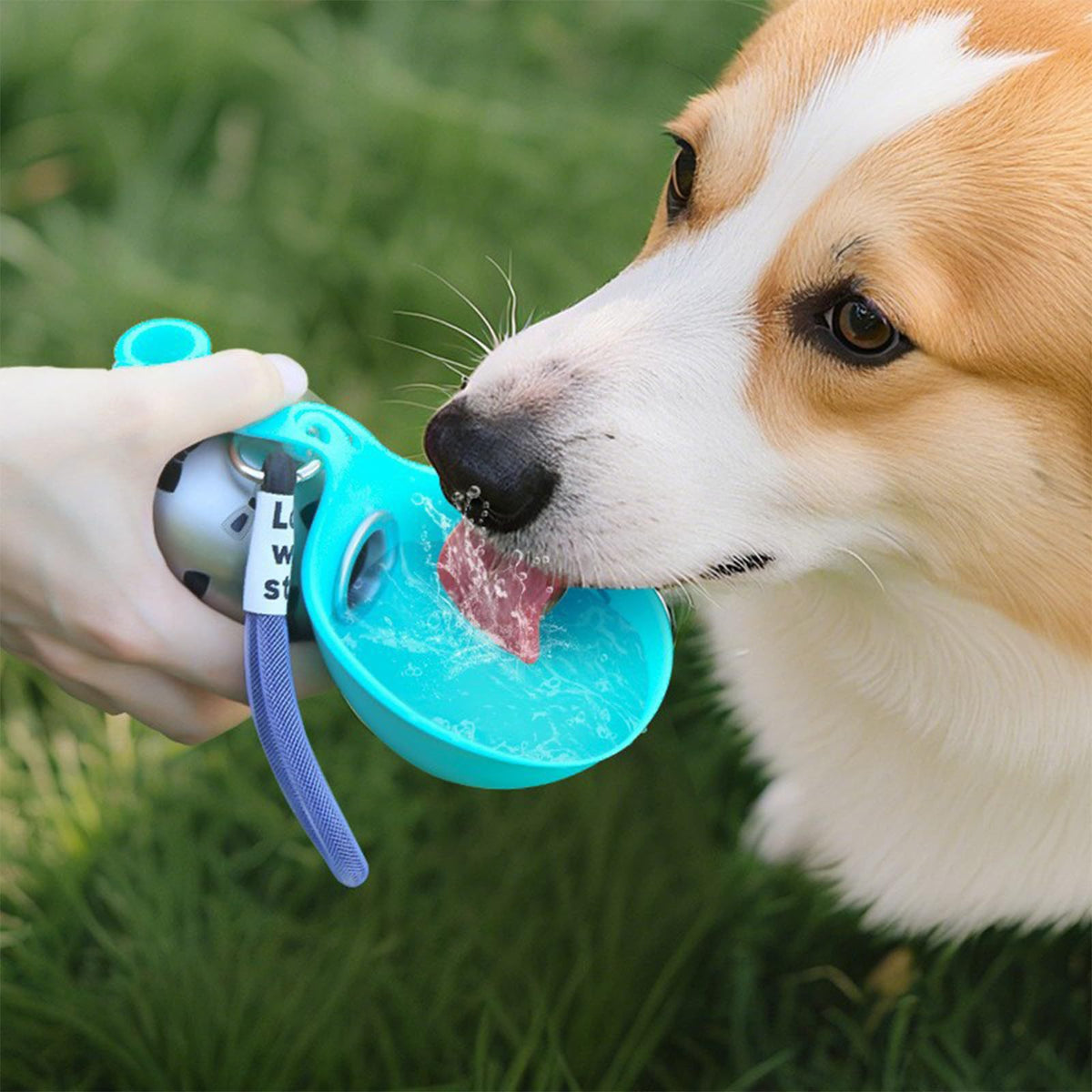 Silicone outdoor drinking fountain