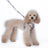 Lightweight cat and small dog harnesses in seven designs