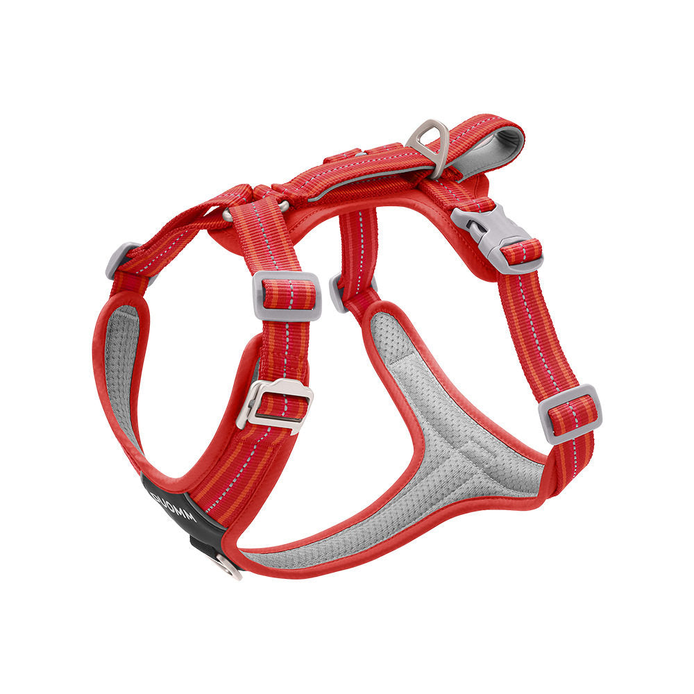 Polyester dog harness and 2.5m lead in khaki and black