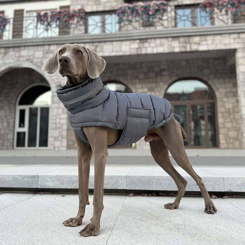 Padded cotton dog coat with warm high fill lining, in a home setting