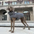 Padded cotton dog coat with warm high fill lining, in a home setting