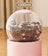 Pet Feeder Set