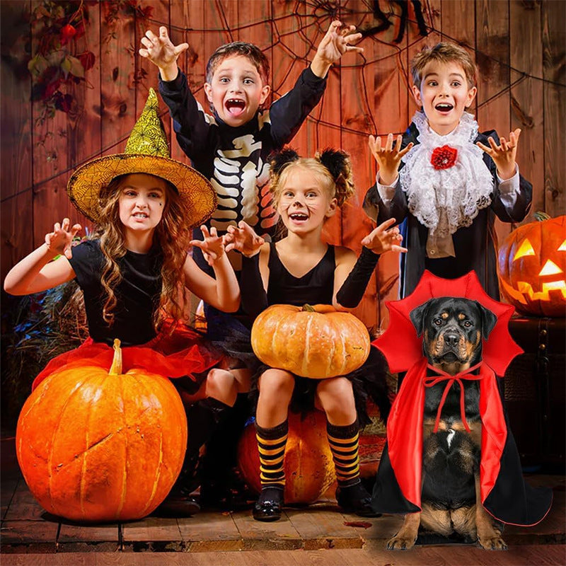 Red witch cloak Halloween costume for cats and small dogs