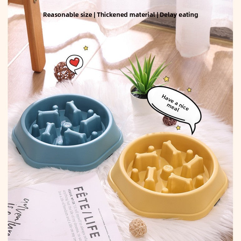 Pet Feeding Bowl