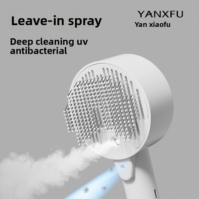 Steam Spray Cat Comb with UV Sterilisation Light