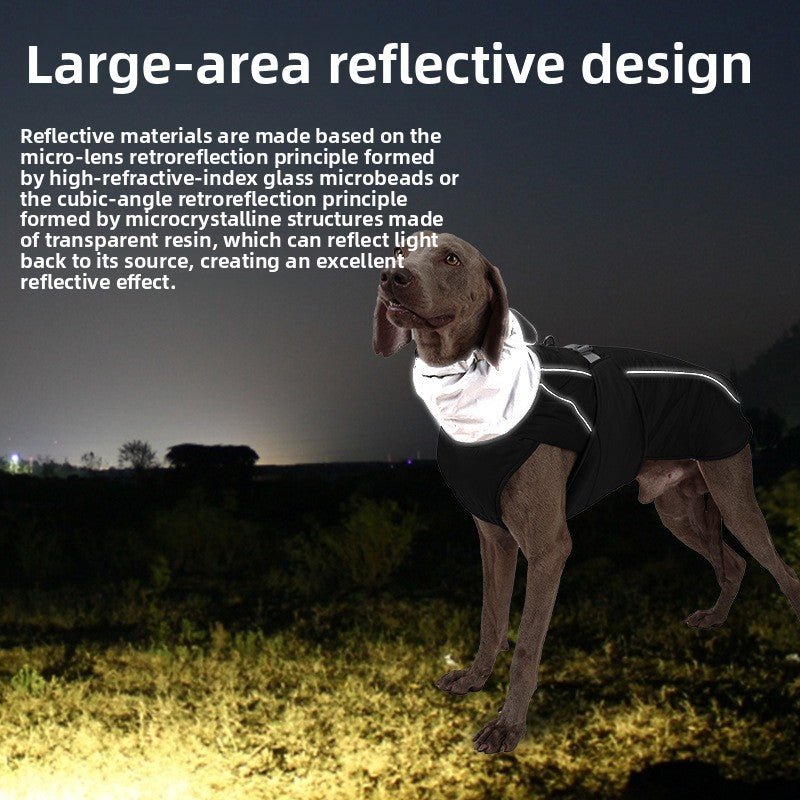 Waterproof padded outdoor dog coat, available in 6 colours, image 2