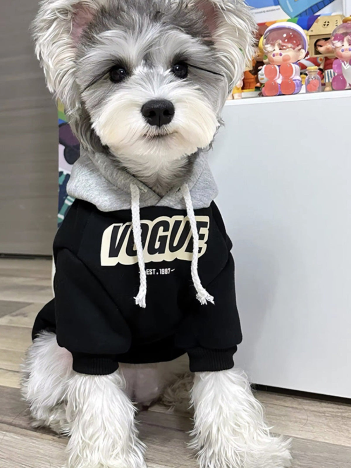Two tone hooded sweatshirt for dogs and cats, available in 4 styles, image 12