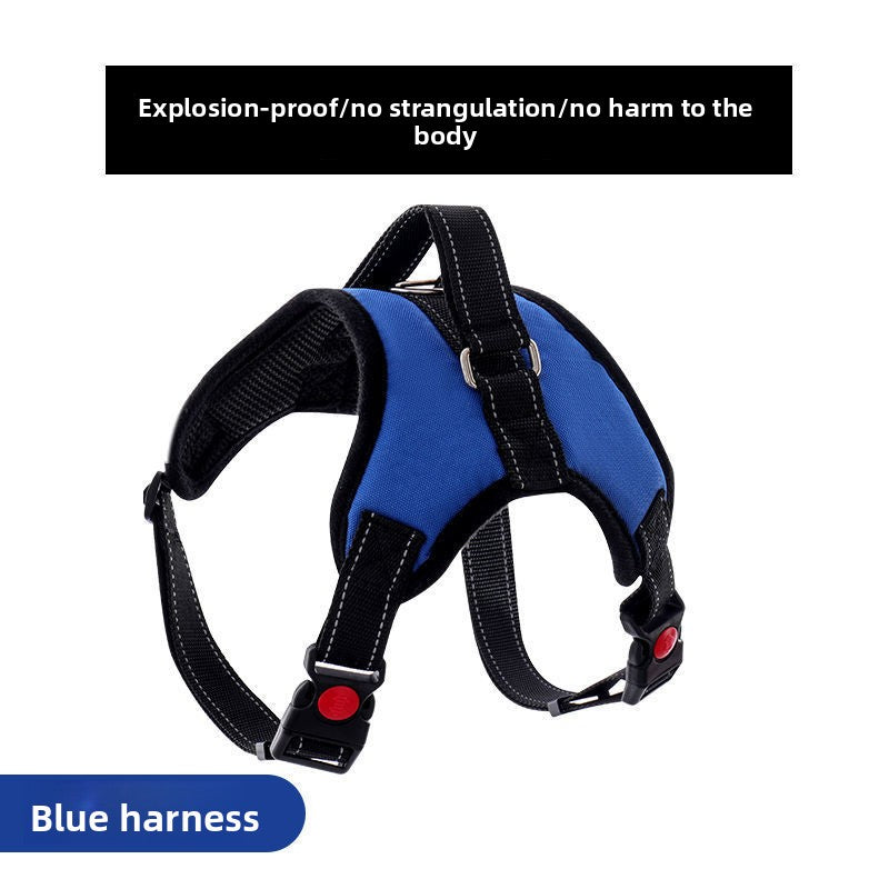 Blue nylon harness for large dogs with braided rope lead