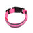 LED reflective dog collar glowing green on a night walk