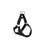 Reflective dog harness or matching collar, available from Pet Royale UK