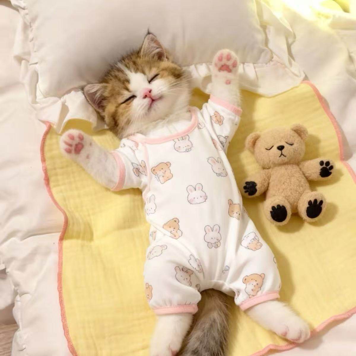 Cute kitty print pet pyjamas on a small dog, view 16
