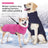 Waterproof padded winter coat for large dogs in Navy Blue, front view