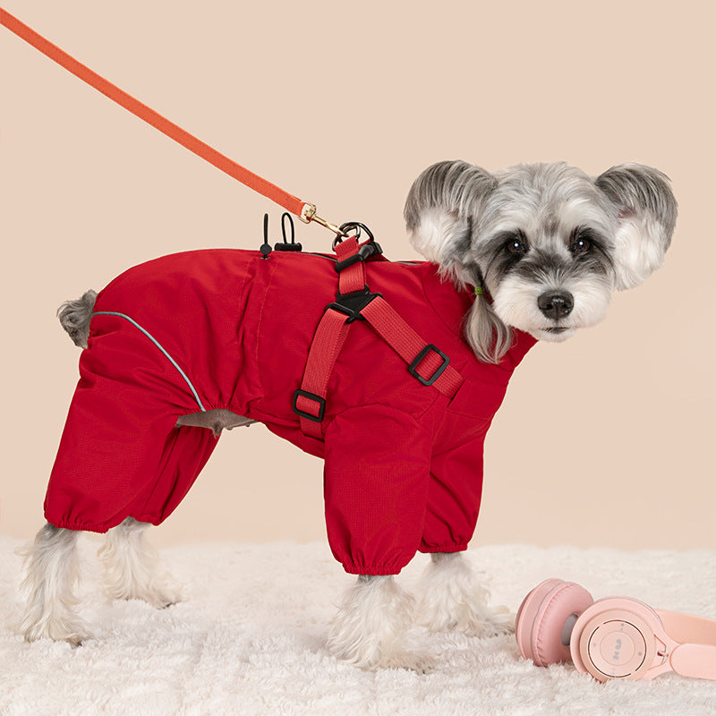 Dog wearing a red windproof four leg coat outdoors
