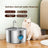 3.2L Stainless Steel Pet Water Dispenser with Smart Induction and Replaceable Filter