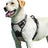 Lightweight nylon outdoor vest for small dogs in Orange, in a home setting