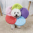 Lightweight soft cone collars in pink, purple and blue
