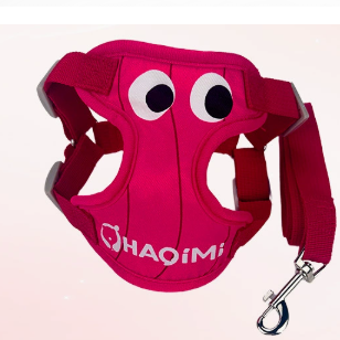 Printed harness and lead for dogs and cats, ideal for everyday use