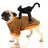 Small dog wearing a standing black cat Halloween costume