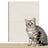Cat scratching a flocked pad stuck to a wall