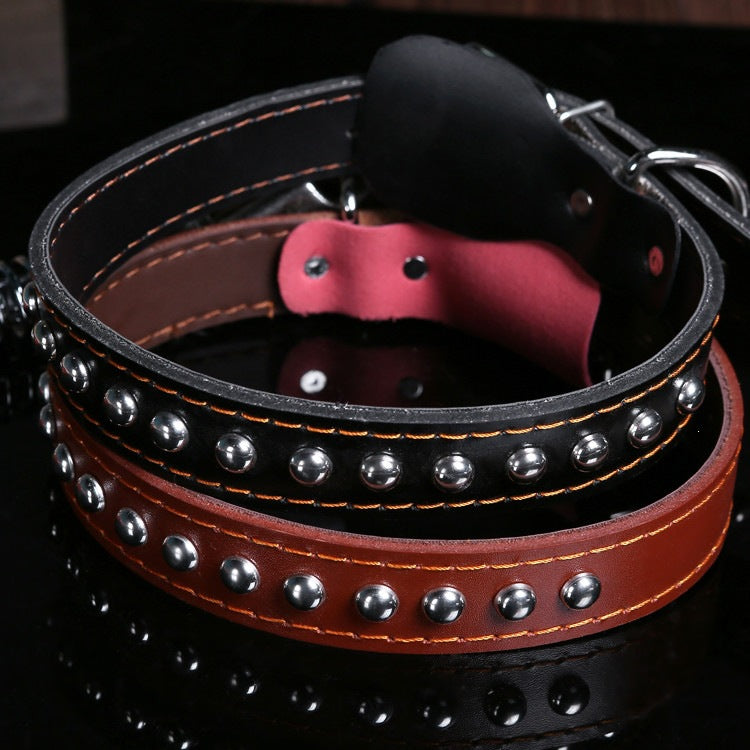 Wide black dog collar and lead, 3 sizes available