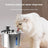 Stainless Steel Quiet Pet Water Dispenser